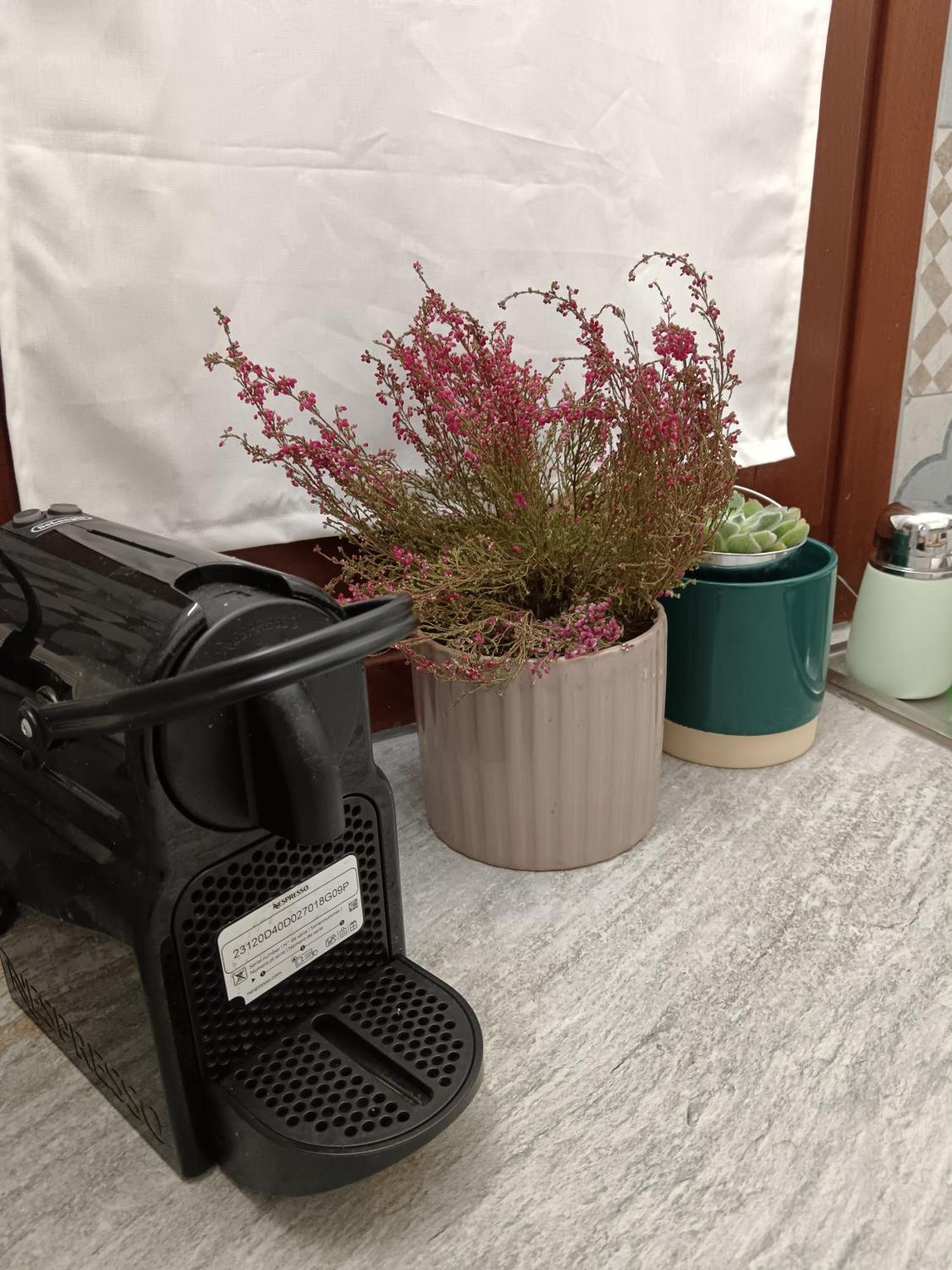Casa Petri Home Spa Palermo Luaran gambar